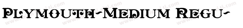Plymouth-Medium Regu字体转换